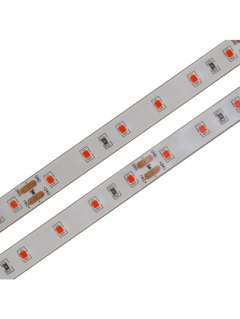 LED pásek 2835 RED/BLUE 60led/m 12W/m 24V Pro pěstování